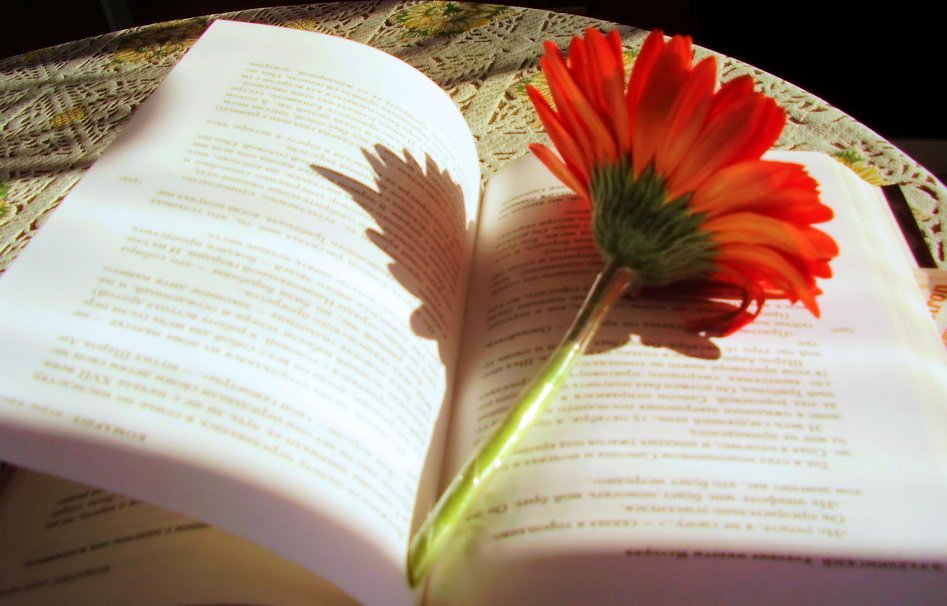 El Ayuntamiento celebra este 23 de abril el ‘Día del Libro’ con un espacio en la web municipal con recomendaciones de los libreros y libreras de Pamplona