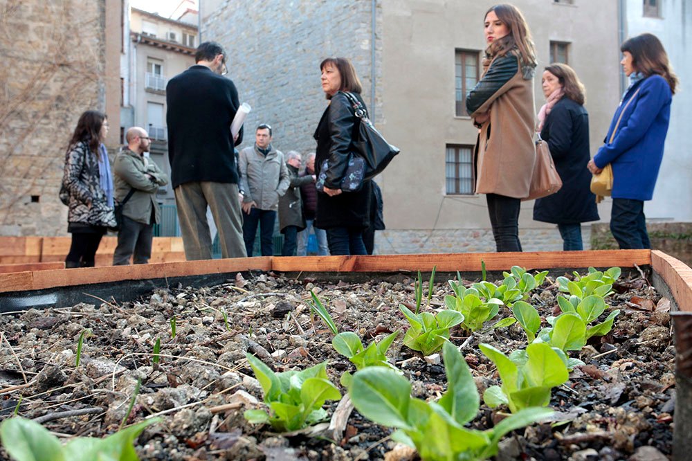 visita_huerto_urbano_pellejerias_2 El Ayuntamiento abre la inscripción para participar en el Programa de Huertas Ecológicas Escolares al que apoya con recursos humanos y materiales