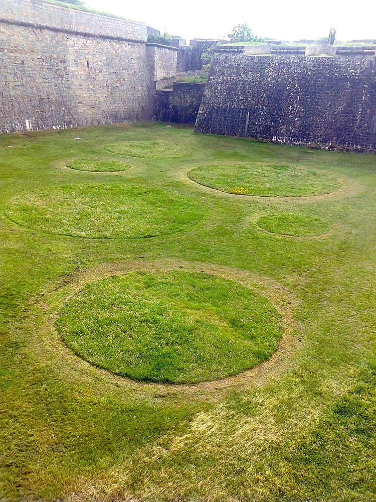 Los fosos de La Ciudadela acogen el primer ‘Jardín efímero’ de Pamplona