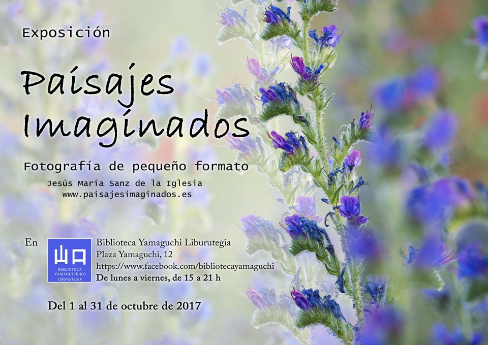 La Biblioteca Pública de Yamaguchi acoge del 6 al 8 de octubre el V Encuentro de Haiku, por primera vez en Navarra