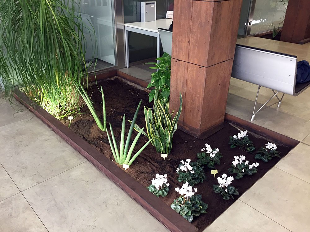 17.10.31_jardineria_UB_san_jorge El alumnado de la Escuela Taller Aranzadi de Jardinería realiza por primera vez de forma estable el mantenimiento de zonas verdes del parque de Aranzadi