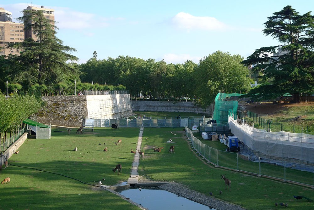 El Ayuntamiento de Pamplona confina a todas las aves del parque de la Taconera siguiendo los protocolos de prevención ante la gripe aviar