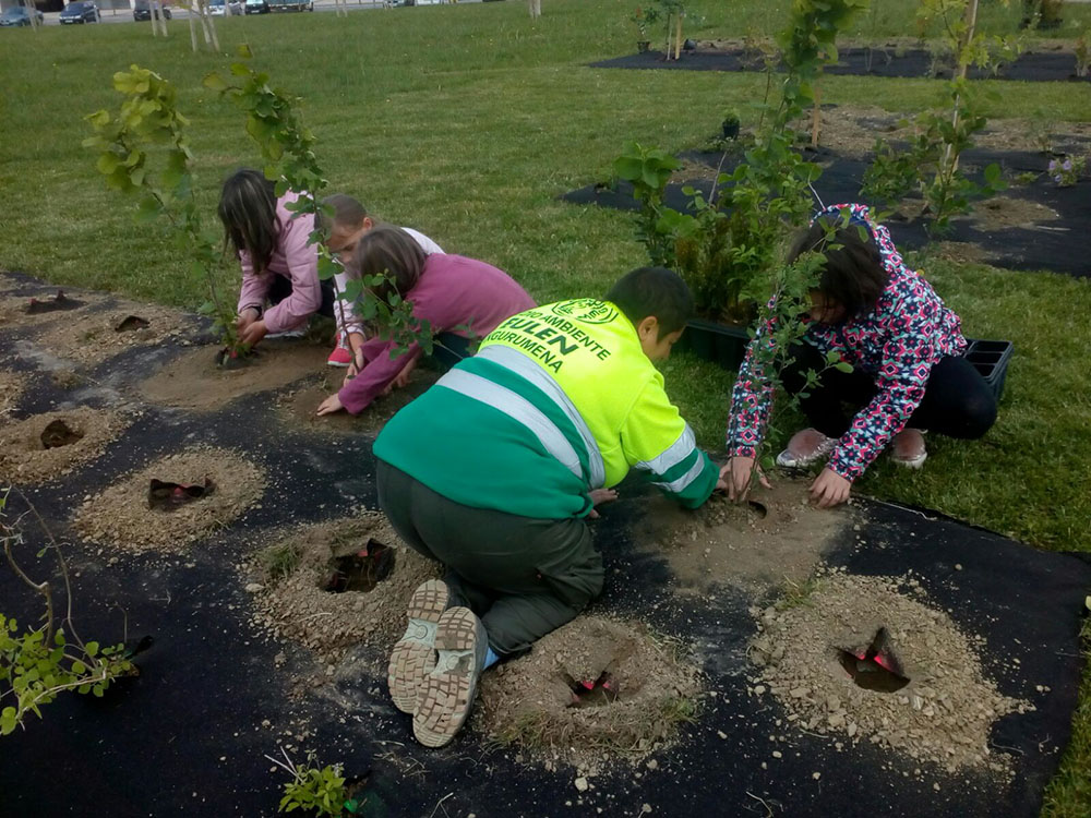 El Ayuntamiento inicia una actuación para proteger las orquídeas y otras plantas de interés en las zonas verdes de la ciudad y seguir apostando por la biodiversidad