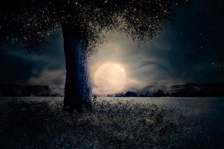 El Museo de Educación Ambiental ofrece mañana miércoles una charla sobre la influencia de la luna en la agricultura a través de un caso práctico