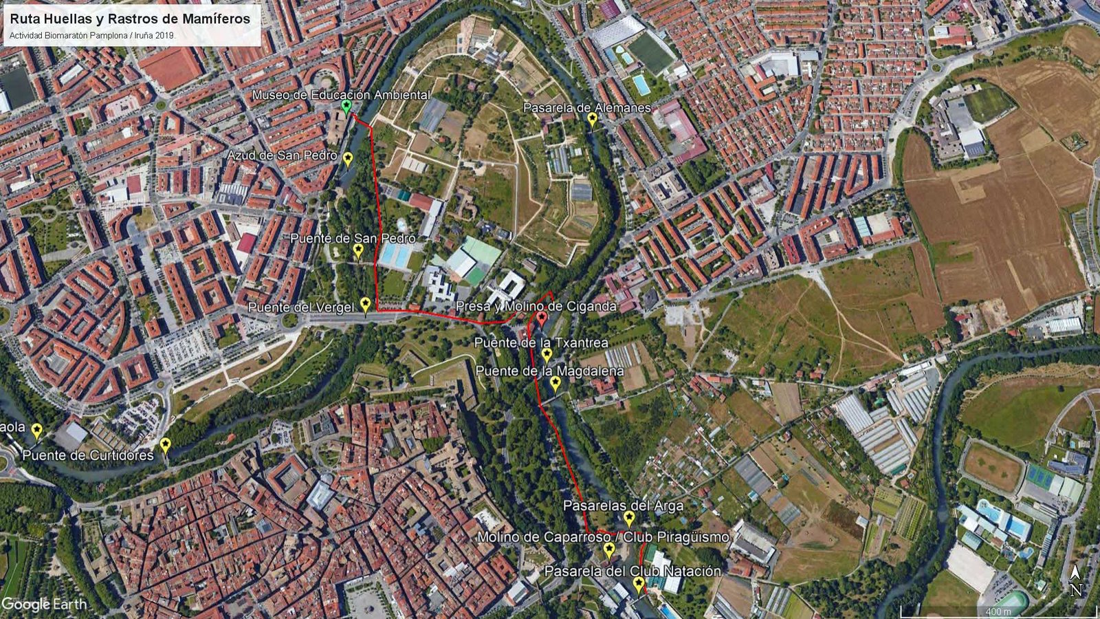 Desde esta madrugada y hasta el día 29 la ciudadanía está llamada a documentar y subir a una app rastros de vida silvestre en Pamplona para participar en una Biomaraton