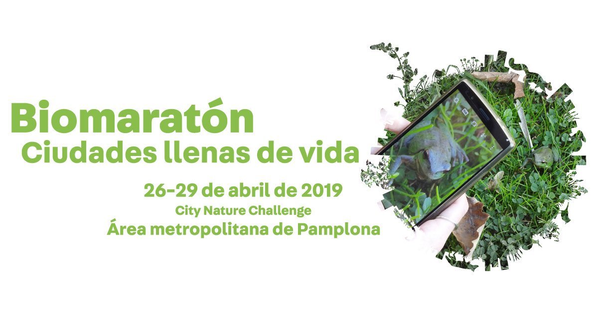 La ciudadanía pamplonesa está convocada a una Biomaratón para descubrir y registrar la biodiversidad de su entorno en colaboración con otras 160 ciudades del mundo