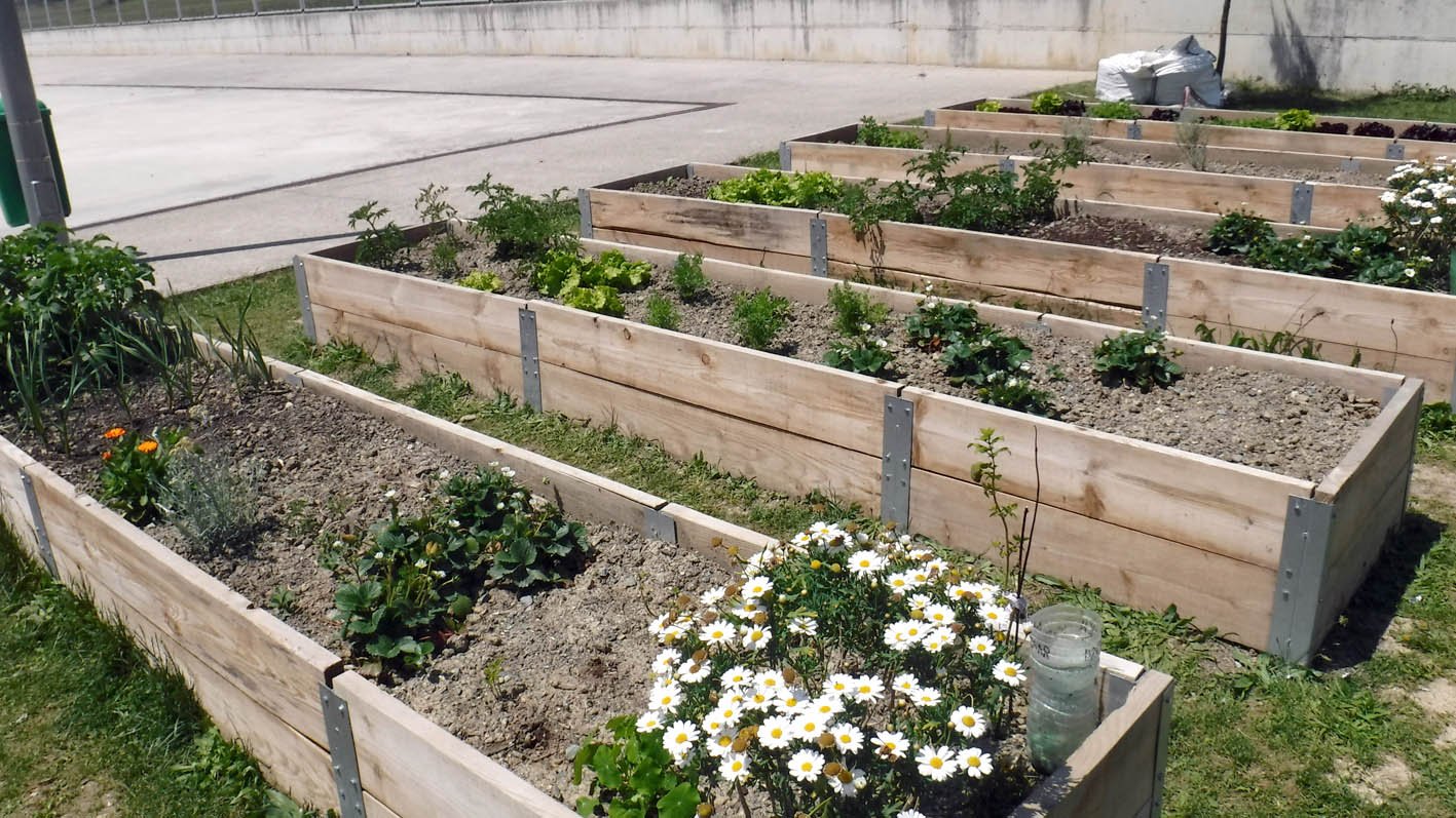 El tercer curso del programa Huertas Ecológicas Escolares de Pamplona cuenta con la participación de 7 centros escolares