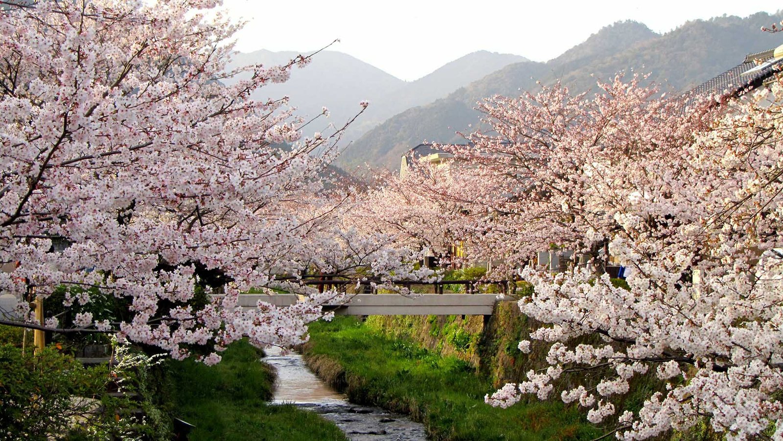 El Ayuntamiento de Yamaguchi convoca a los pamploneses a participar en un concurso para difundir Pamplona entre los habitantes de la ciudad hermana