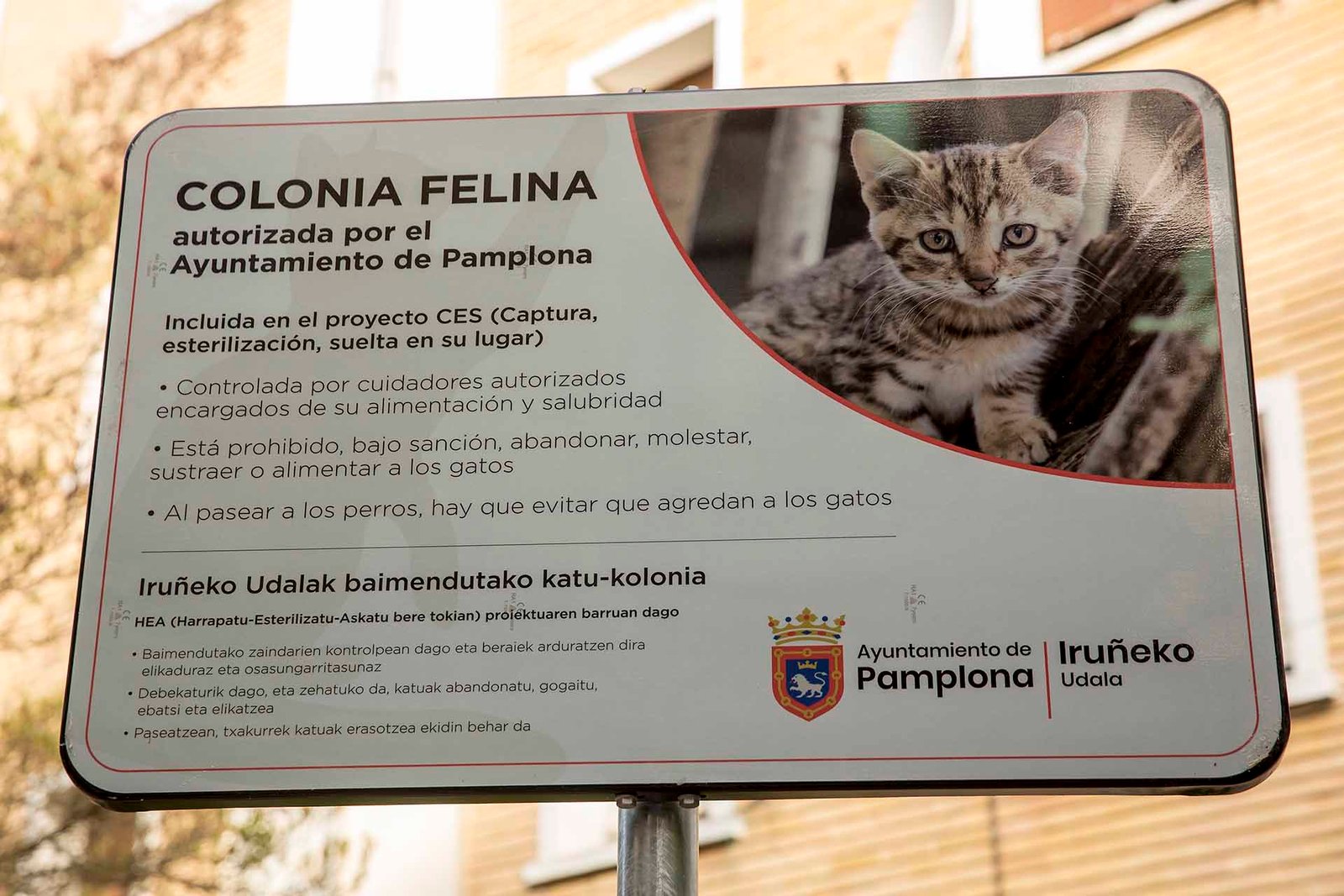 El Ayuntamiento instala un espacio para la colonia felina de la Txantrea en el que continuará impulsando el programa CES (captura-esterilización-suelta en el lugar)