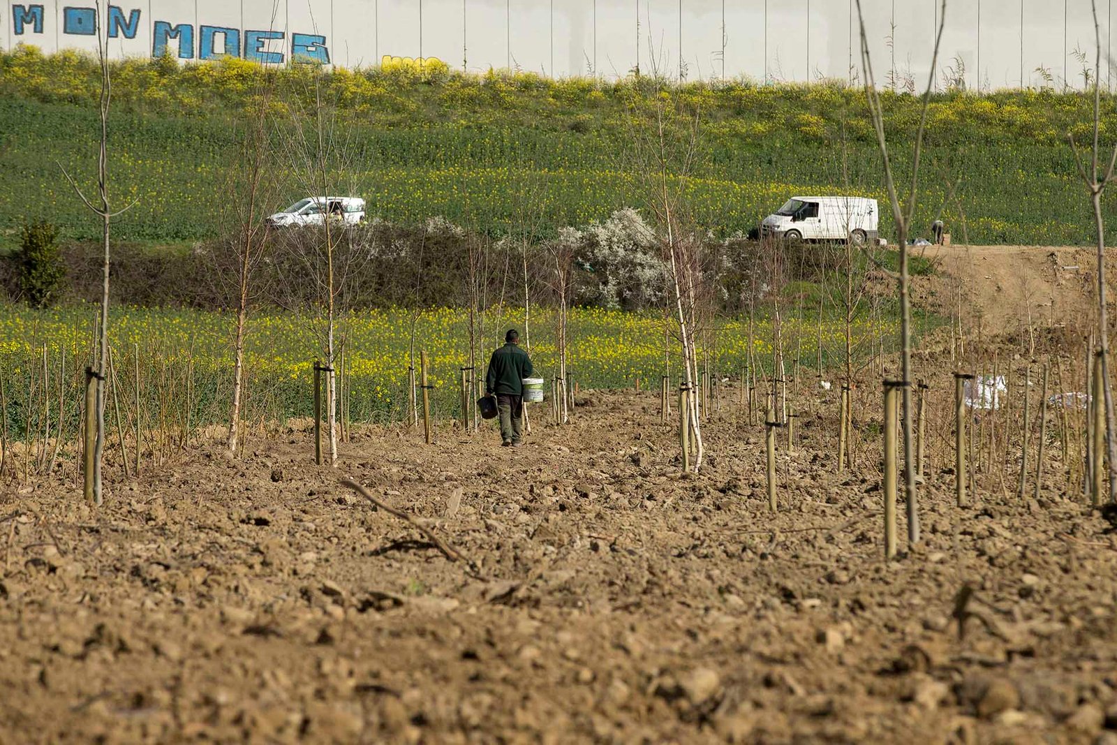 El Ayuntamiento acomete labores de restauración en la parcela municipal donde se desmantelaron las huertas de ocio ilegales de Etxabakoitz