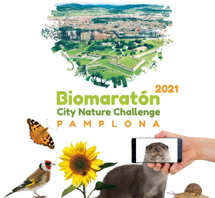 El Museo de Educación Ambiental se une al Biomaratón con un taller el día 1 para conocer los rastros que dejan los mamíferos