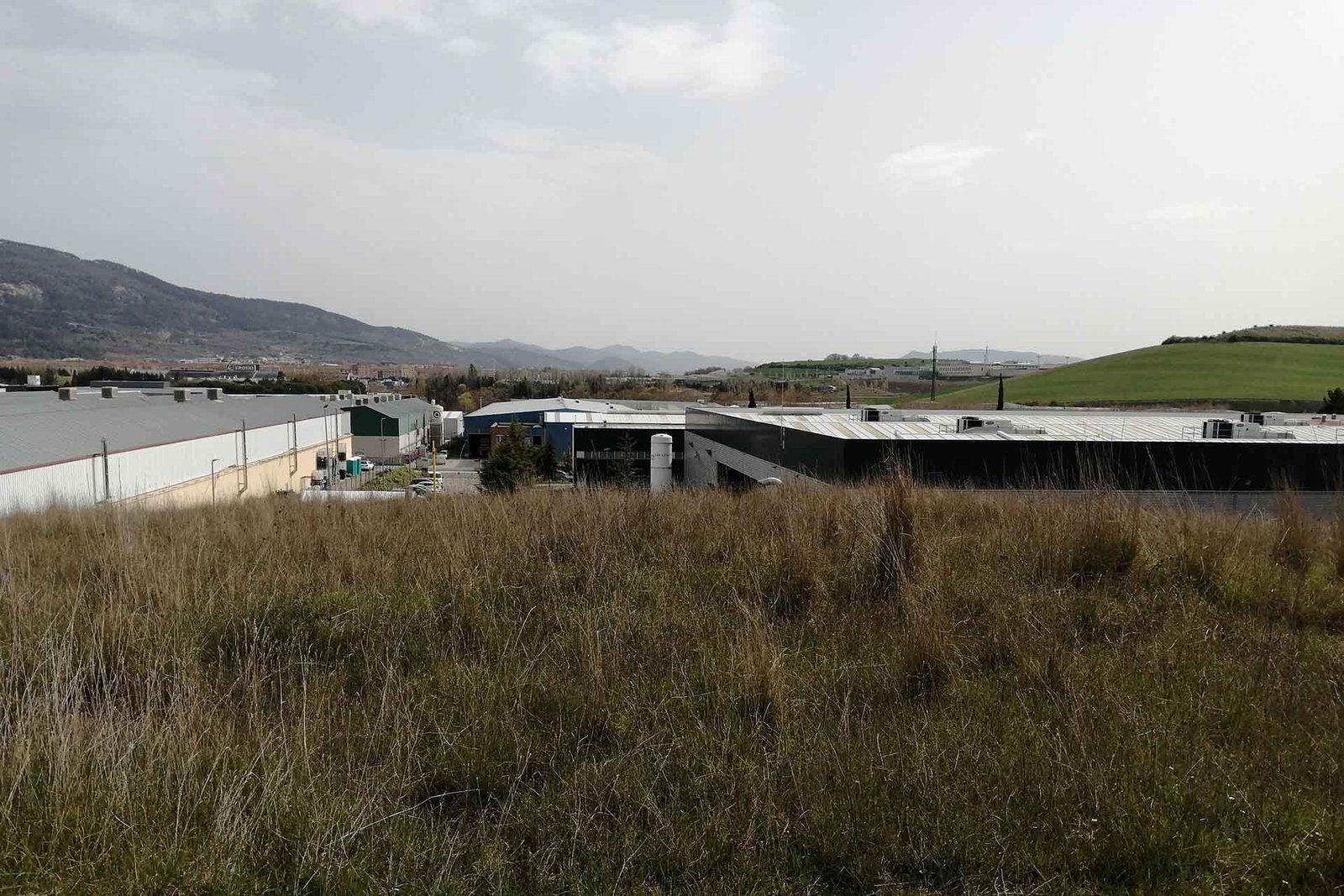 Pamplona comenzará a plantar el próximo otoño 665 árboles y arbustos para crear un bosque autóctono en el polígono de Agustinos