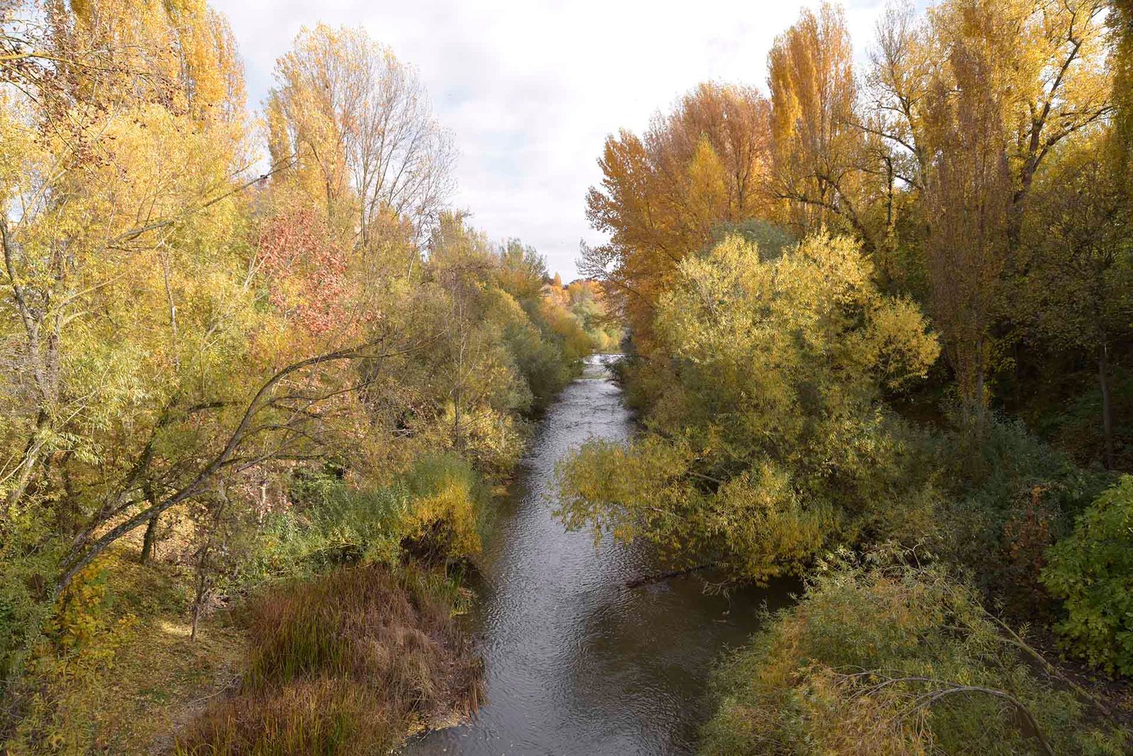 El Ayuntamiento de Pamplona continúa con el estudio de los entornos fluviales para potenciar sus valores naturales e integrarlos en la estructura de la ciudad
