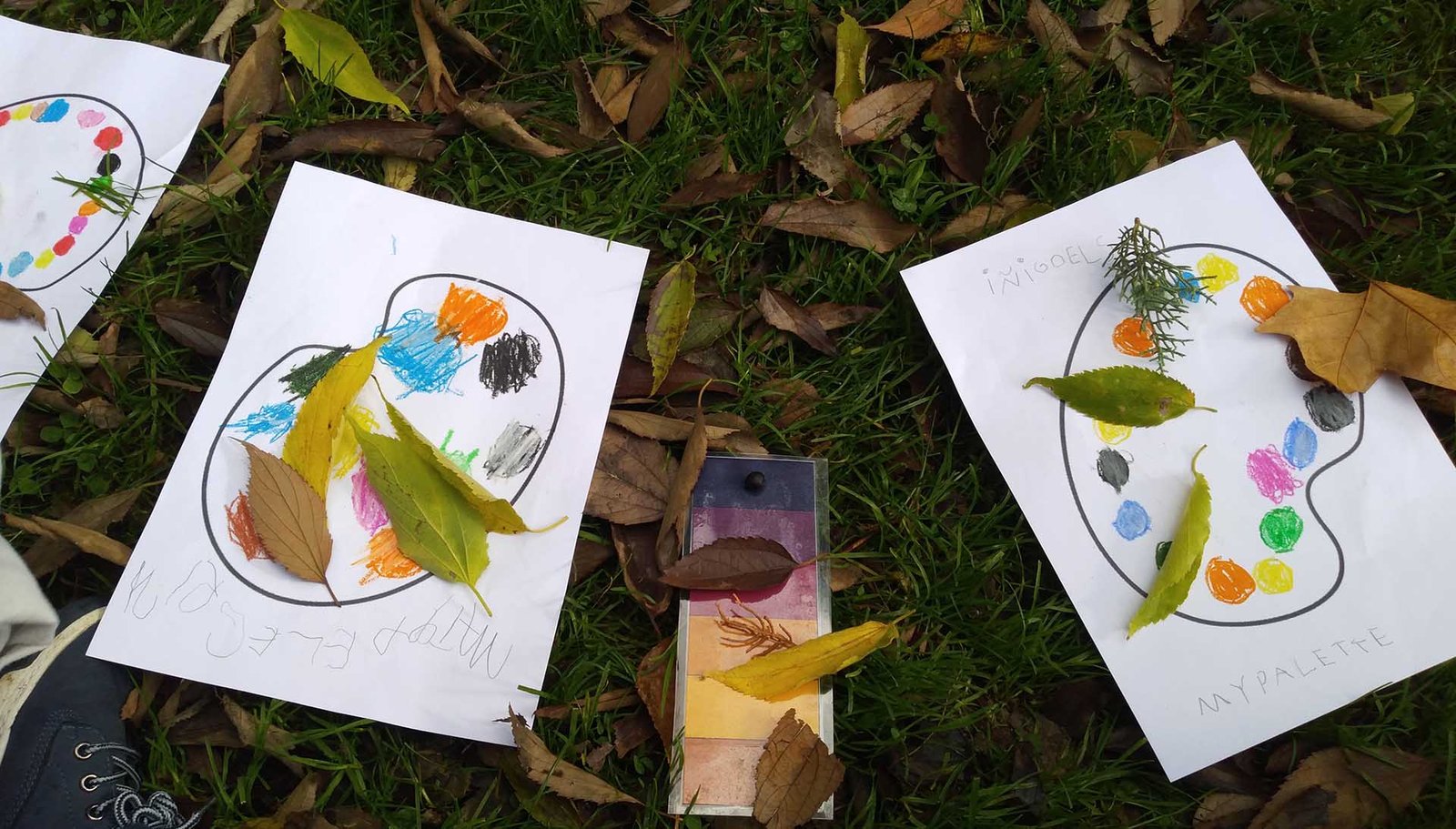 4.000 escolares de 219 grupos diferentes han tomado parte el último curso en los programas municipales de ‘Educándonos en sostenibilidad’