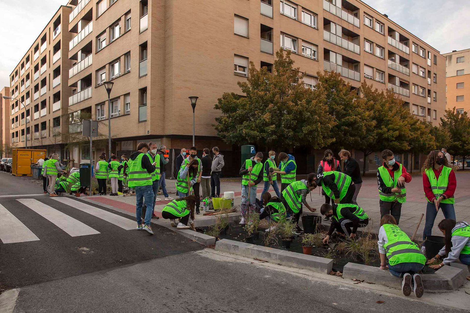 El paso de peatones de la calle Carmen Baroja Nessi ya cuenta con su zona verde tras la plantación del alumnado de los colegios Rochapea y La Compasión Escolapios