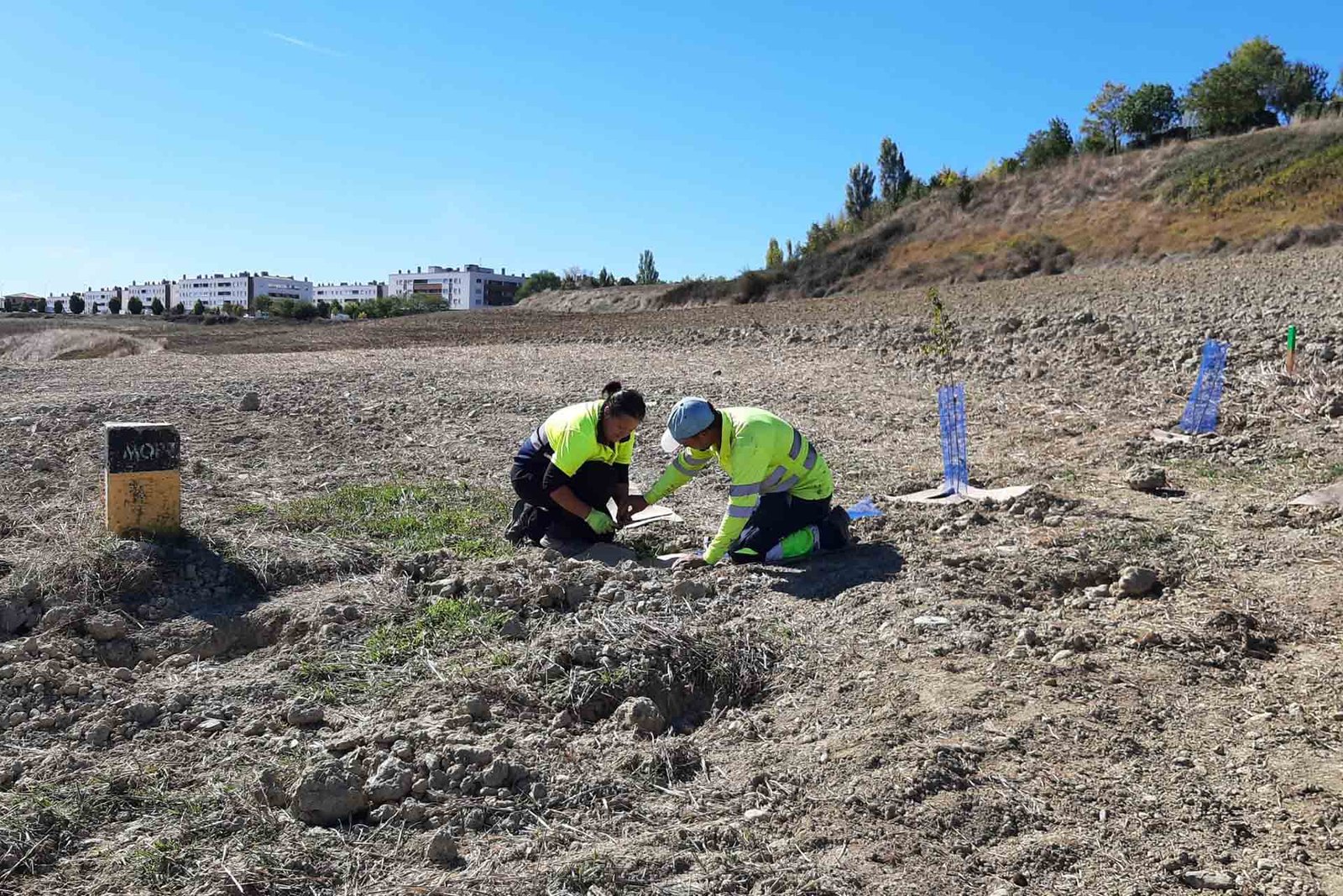 Plántate contra el cambio climático plantando árboles en el nuevo bosque autóctono para Pamplona