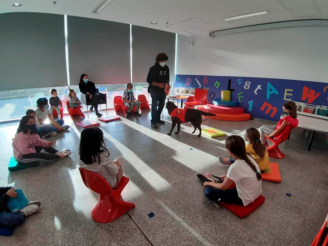 ‘Lectura asistida con animales’: la propuesta gratuita de esta semana de la Biblioteca Pública San Jorge para niños y niñas de 6 a 9 años