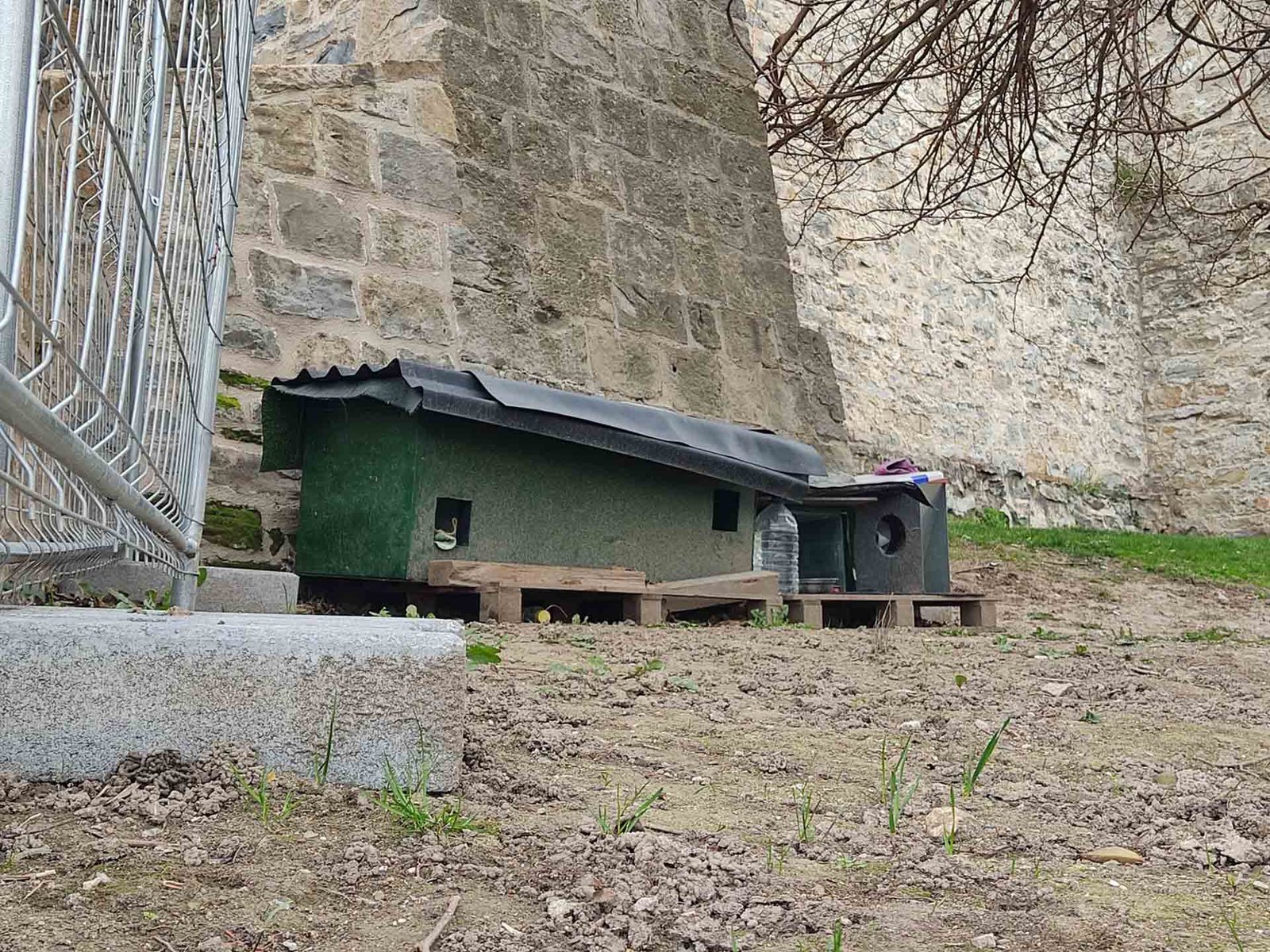  El Ayuntamiento continuará impulsando el programa de captura-esterilización-suelta en el lugar (CES) para el control de la población felina en las calles de Pamplona