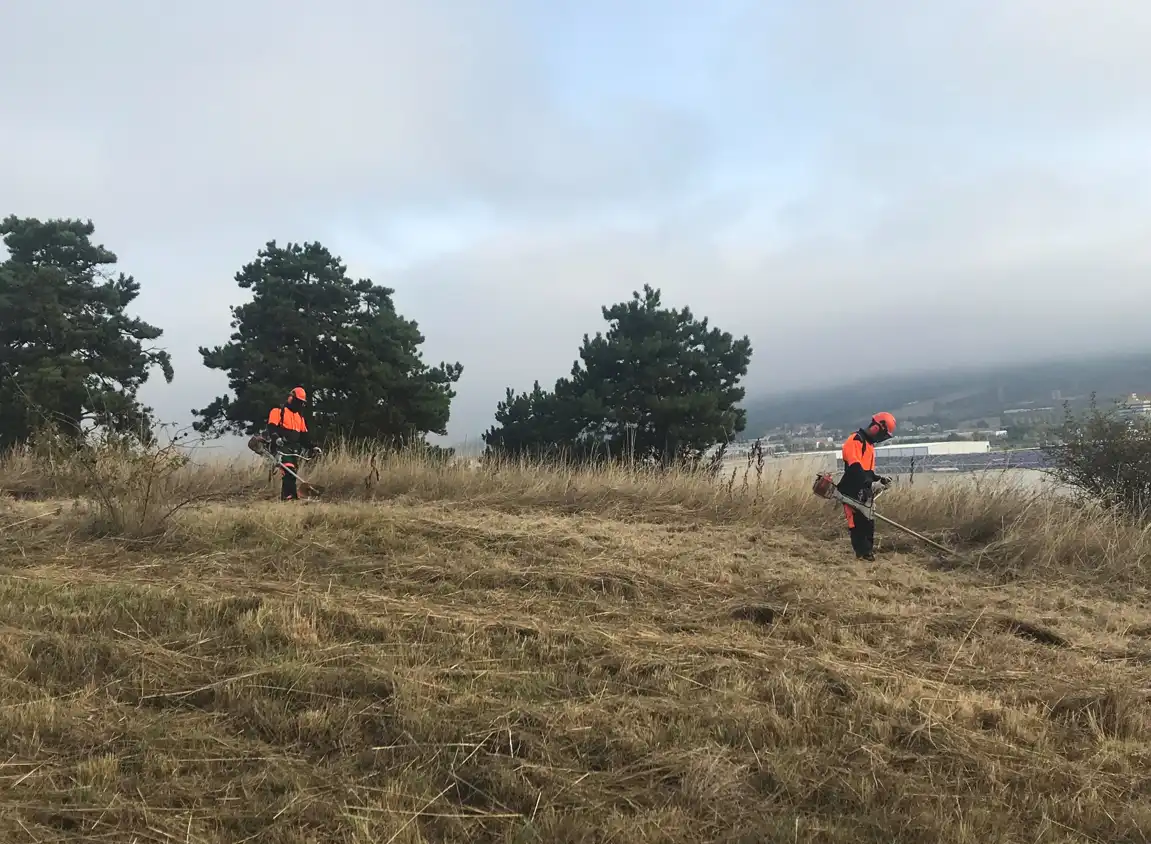 Pamplona anima a la ciudadanía a plantar el resto del bosque de absorción del polígono de Agustinos