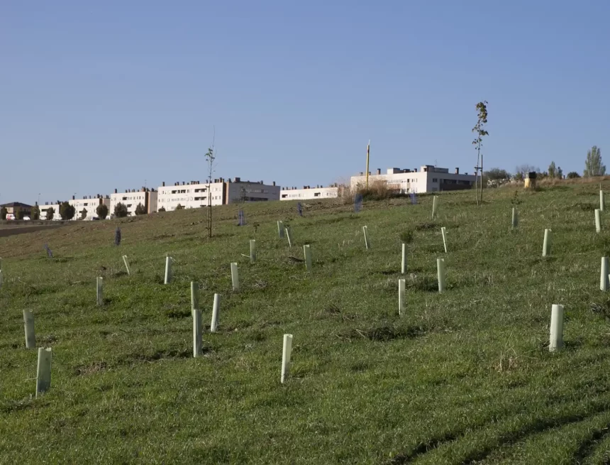 El Ayuntamiento de Pamplona da por terminada la creación del bosque ‘secuestrador de dióxido de carbono’ que durante los próximos 30 años crecerá en Agustinos