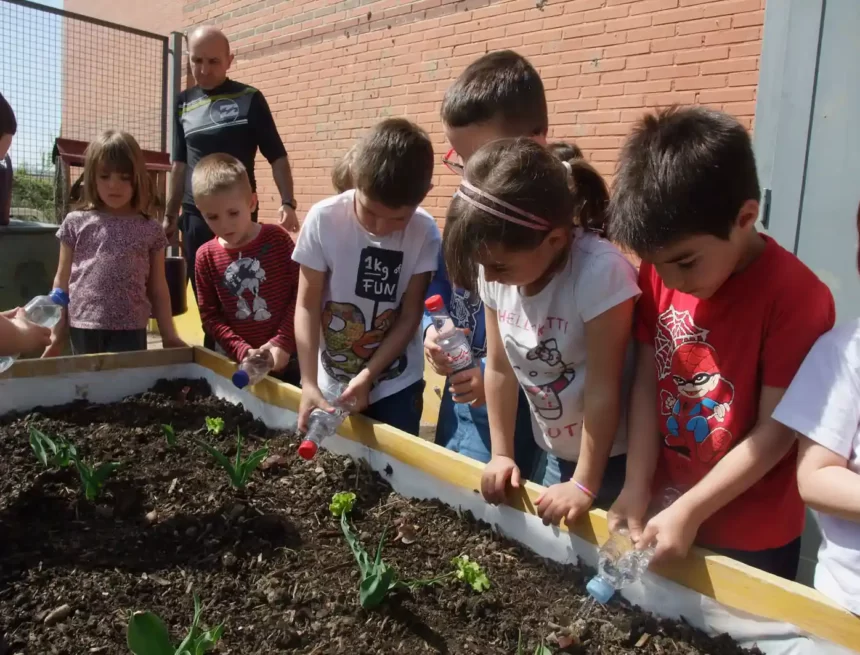 El alumnado de Infantil y Primaria aprende a crear un vínculo positivo con la naturaleza a través del programa municipal de huertas ecológicas escolares