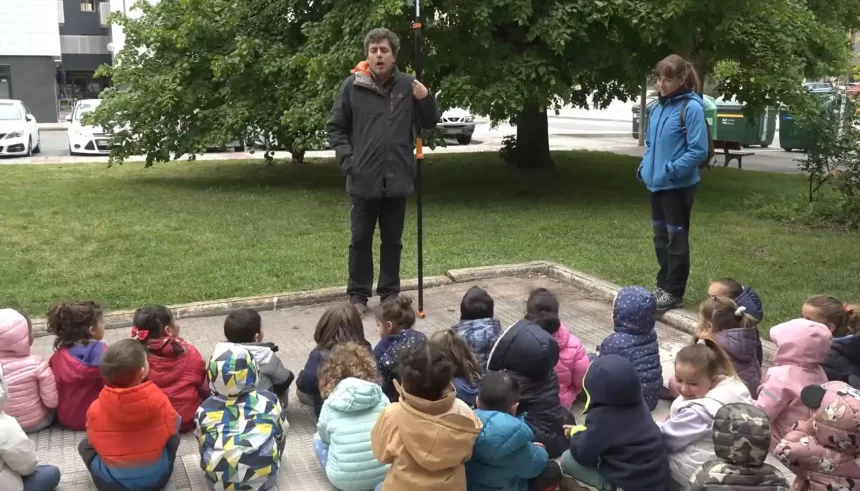 cajasnido4 cajas-nido