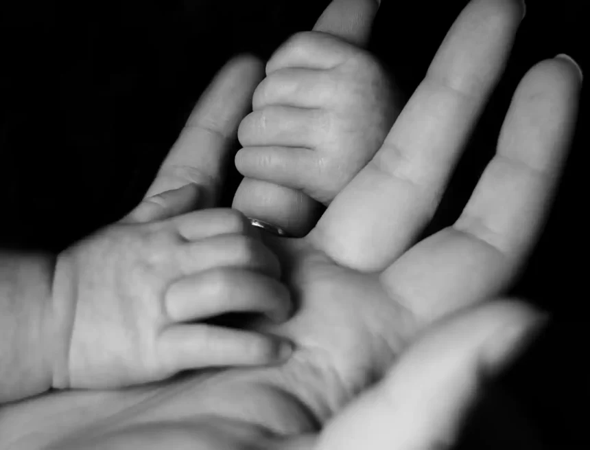 El Ayuntamiento destina 658.750 euros para el servicio de atención integral a mujeres en situación de dificultad social y sus hijos e hijas