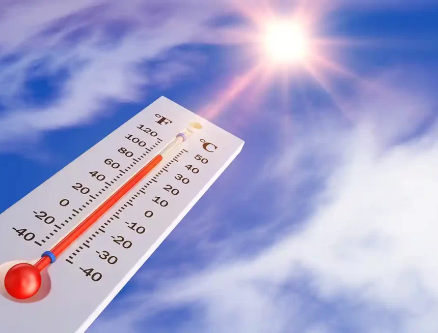 ola calor