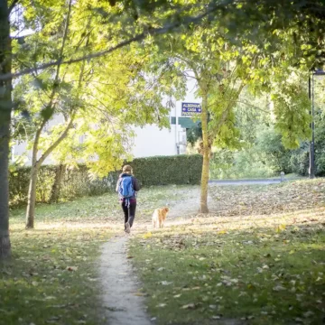 turismo camino santiago