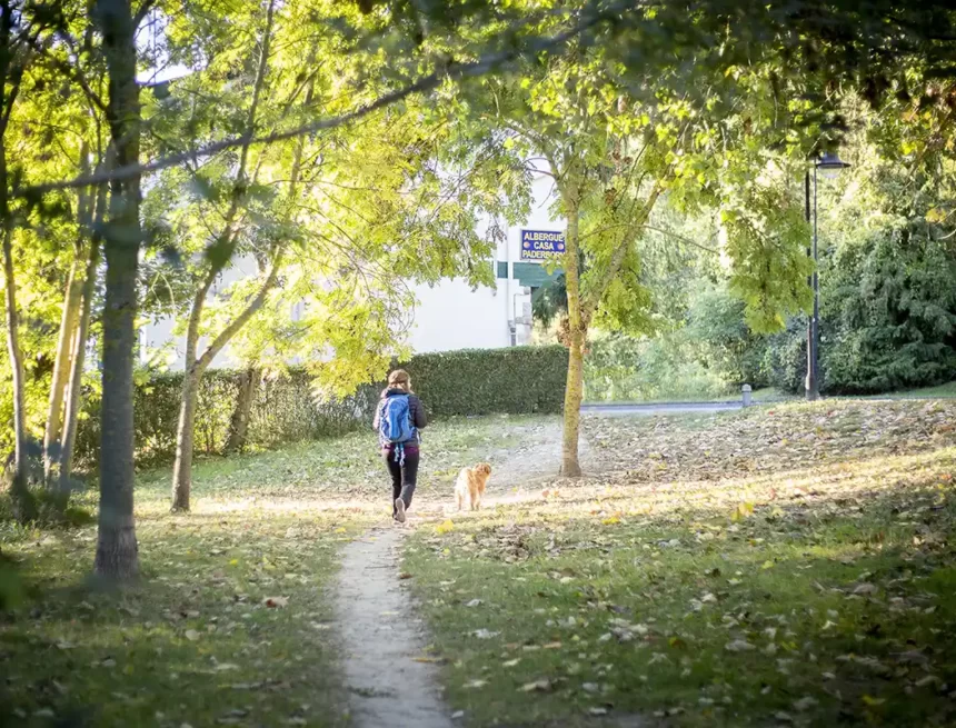 turismo camino santiago