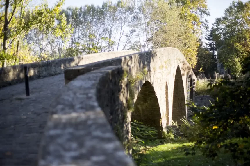 puente pamplona