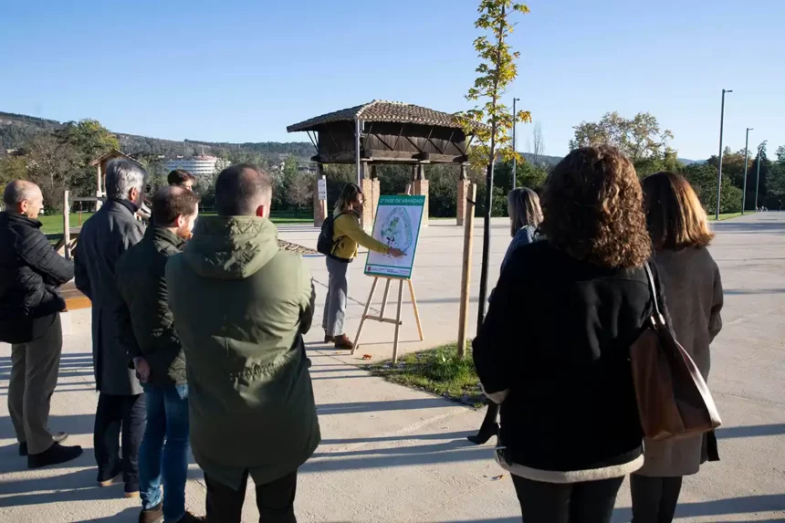 segunda fase aranzadi