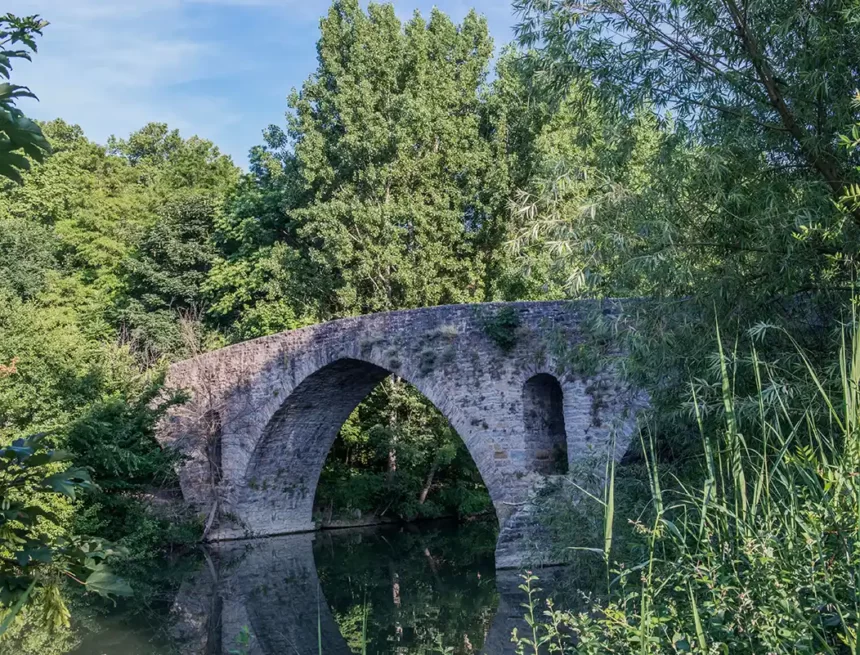 puente magdalena