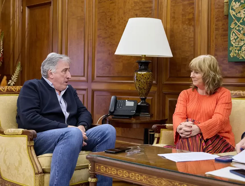 reunión ana ollo
