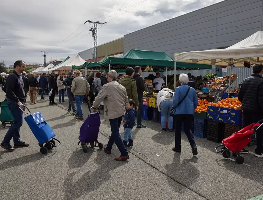 mercadillo landaben