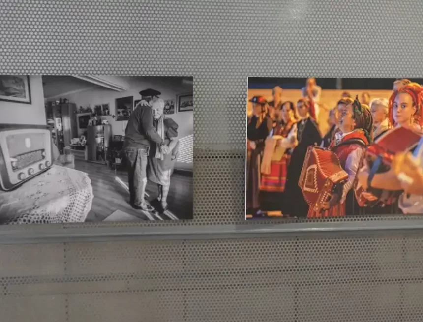 expo mayores