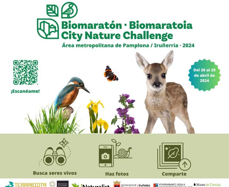 biomaraton