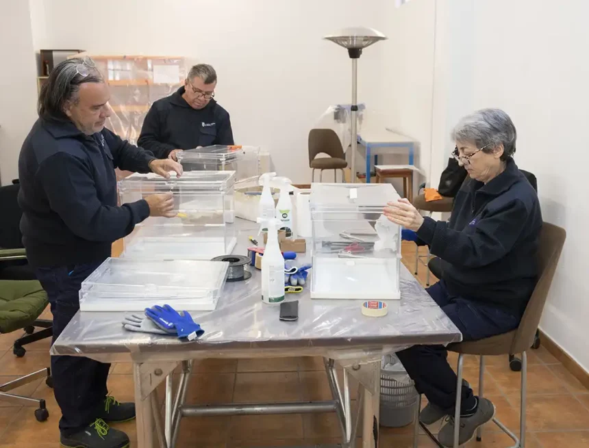 limpieza urnas