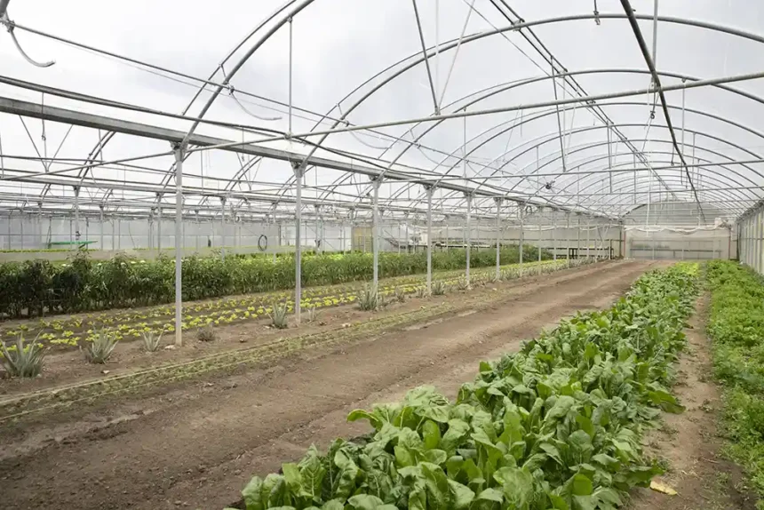 HUERTAS ELKARKIDE CPAEN_NB_9427 huertas elkarkide