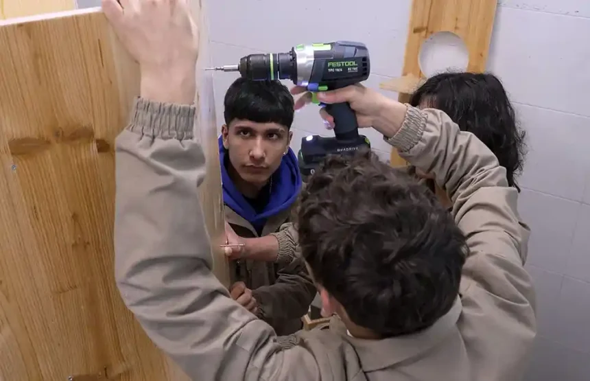 cajas centro atención animales