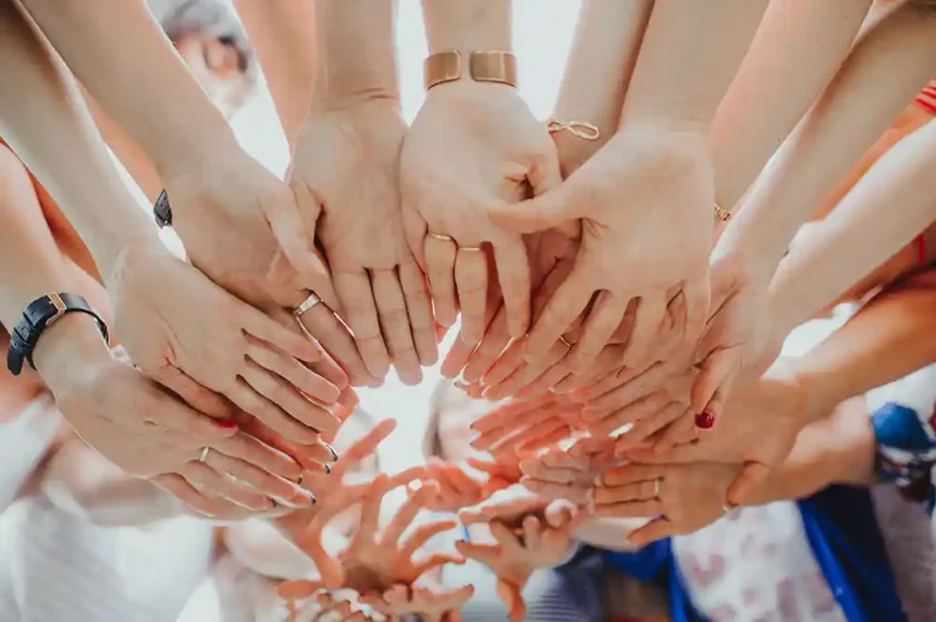 participación web participación web