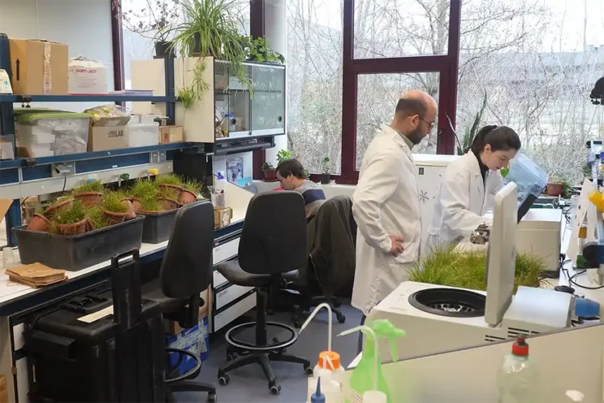 macetas_web_1 macetas