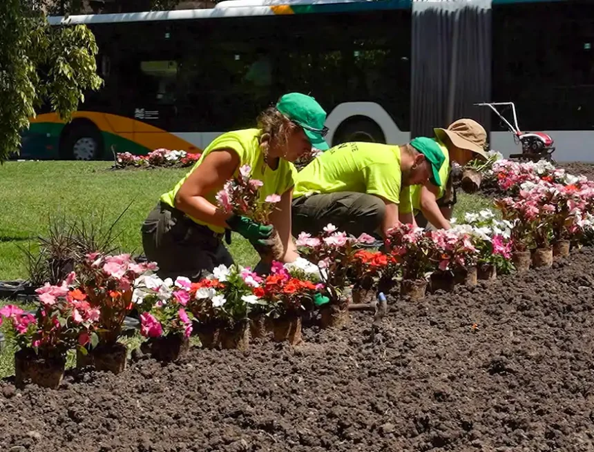 recuperación jardines