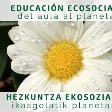 educación ecosocial