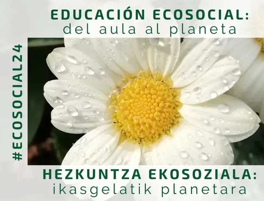 educación ecosocial