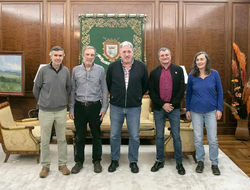 reunión ONGD