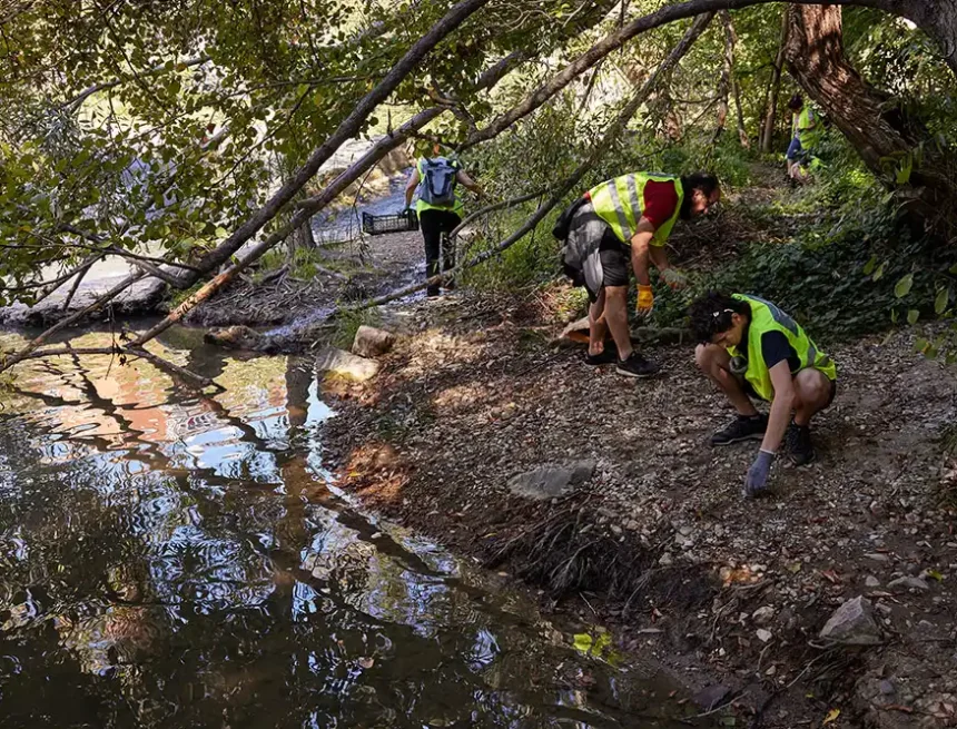 voluntarios ambiental