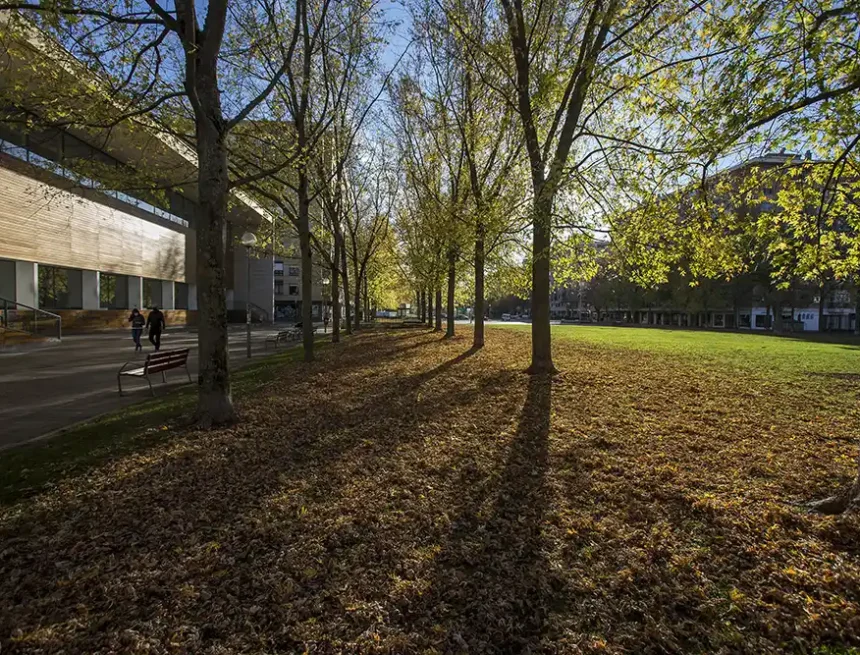 arboles boulevar iturrama