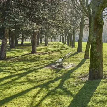 zona verde jardín parque