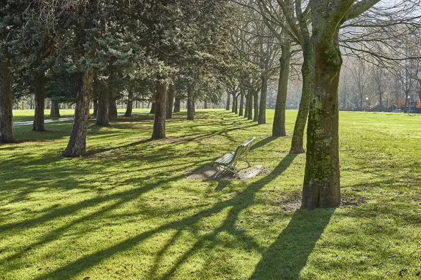 zona verde jardín parque